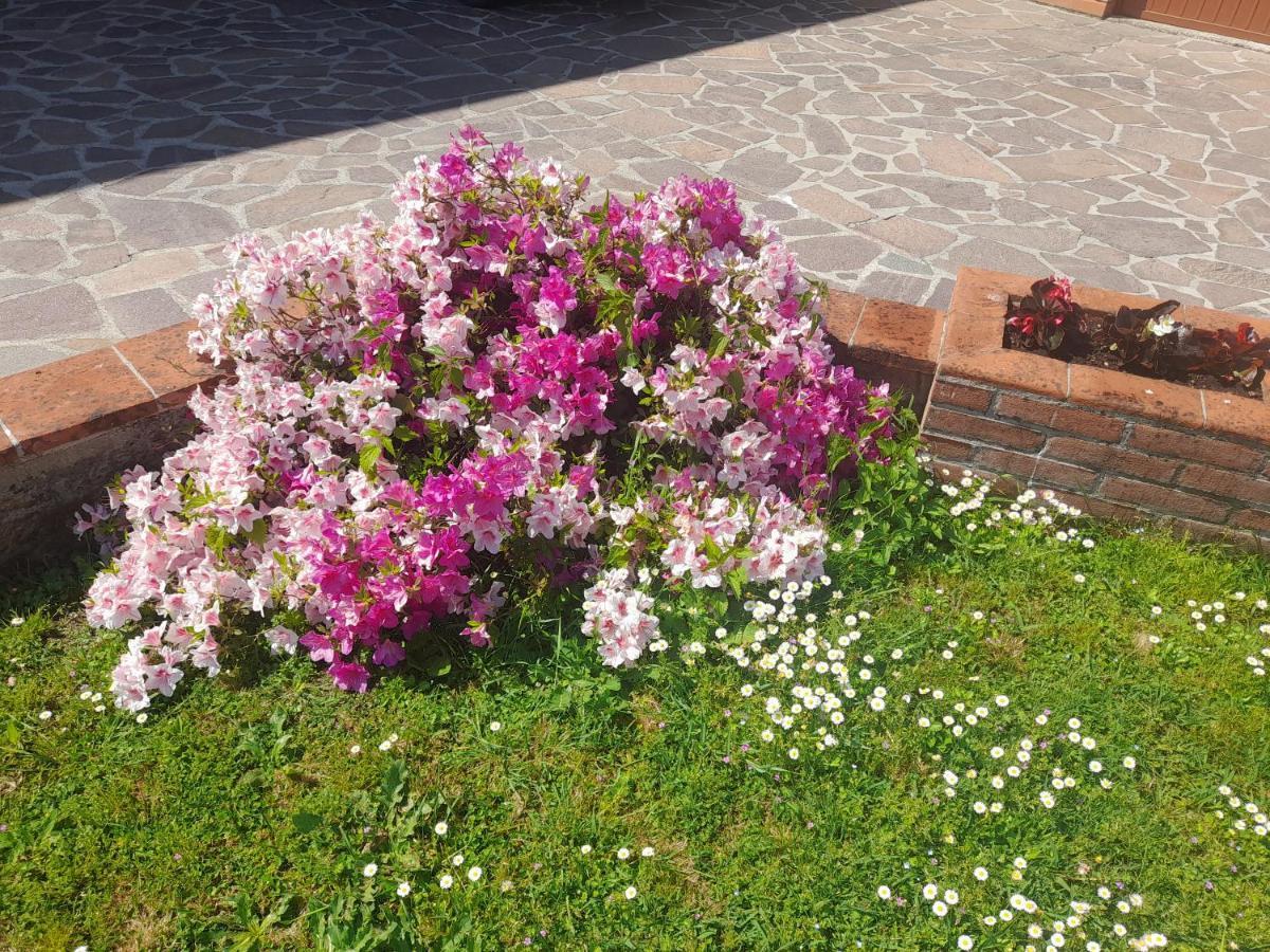 Casa Camelia Villa Capannori Ngoại thất bức ảnh
